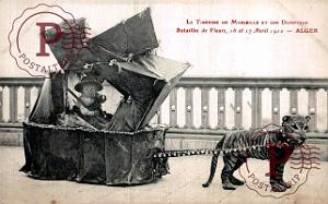 ALGER - BATAILLE DE FLEURS - TIGRESSE ET CHASSEUR2 - 1912